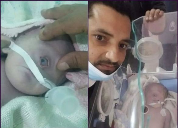 4260cac6 2ccd 40ff 8392 642c8d17f79f