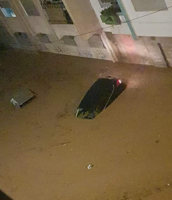 ف